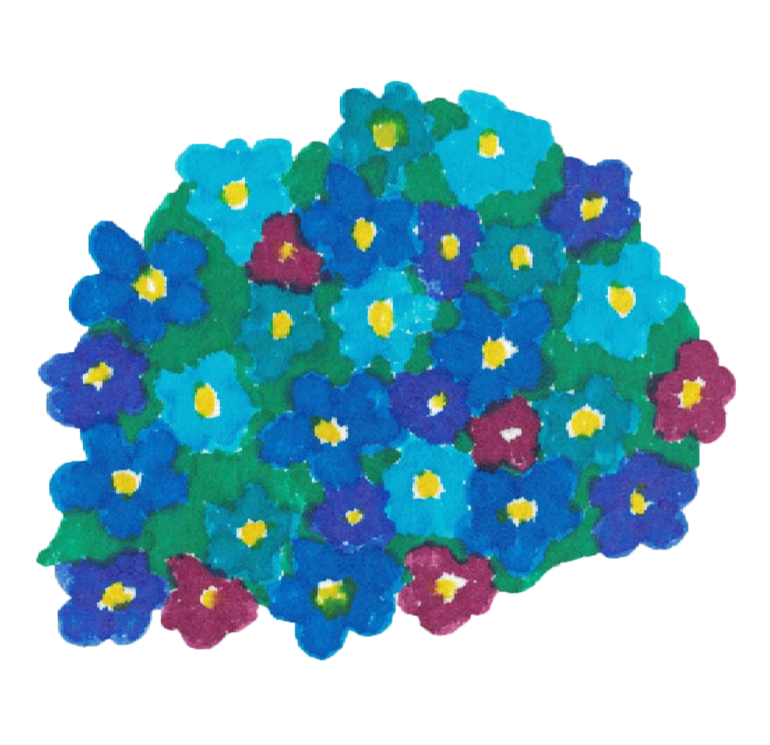 imagendefloresazules