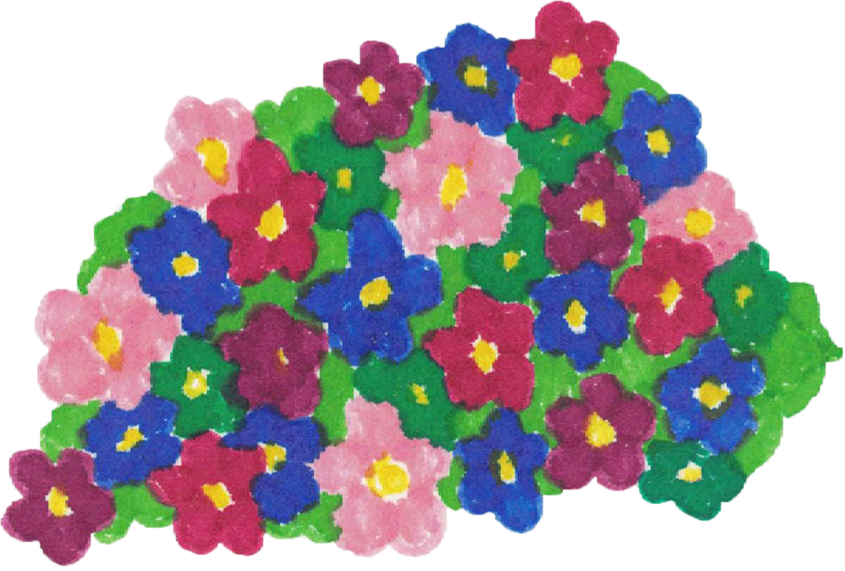 Flores multicolor